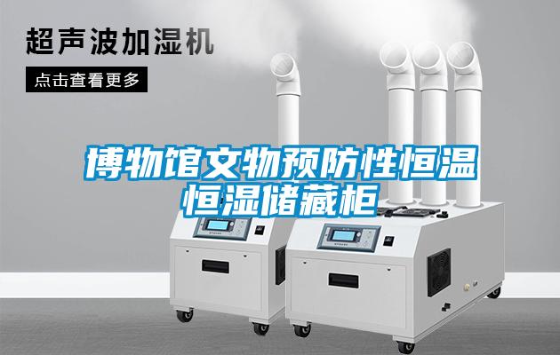 博物館文物預防性恒溫恒濕儲藏柜
