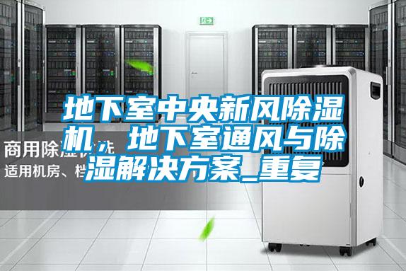 地下室中央新風除濕機，地下室通風與除濕解決方案_重復