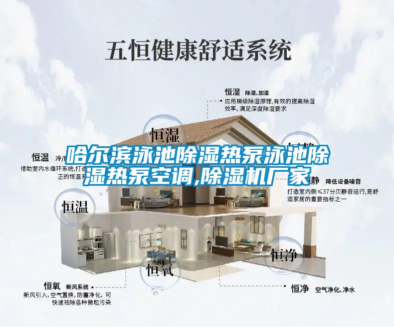 哈爾濱泳池除濕熱泵泳池除濕熱泵空調,除濕機廠家