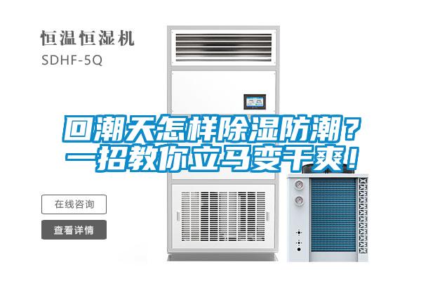 回潮天怎樣除濕防潮？一招教你立馬變干爽！