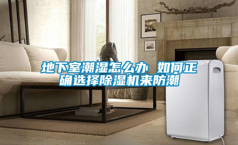 地下室潮濕怎么辦 如何正確選擇除濕機來防潮