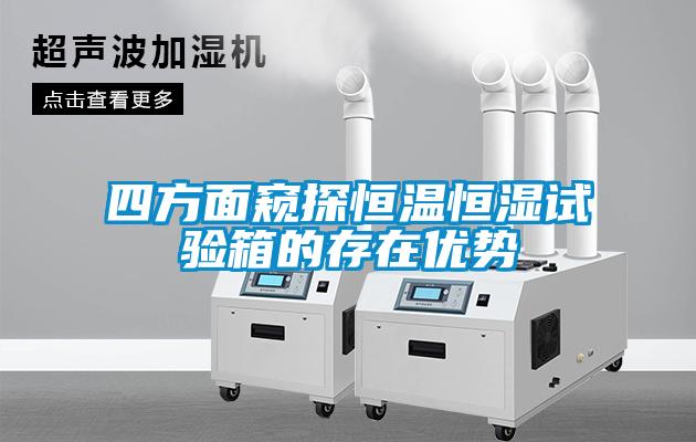 四方面窺探恒溫恒濕試驗箱的存在優勢