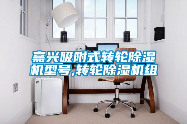 嘉興吸附式轉輪除濕機型號,轉輪除濕機組