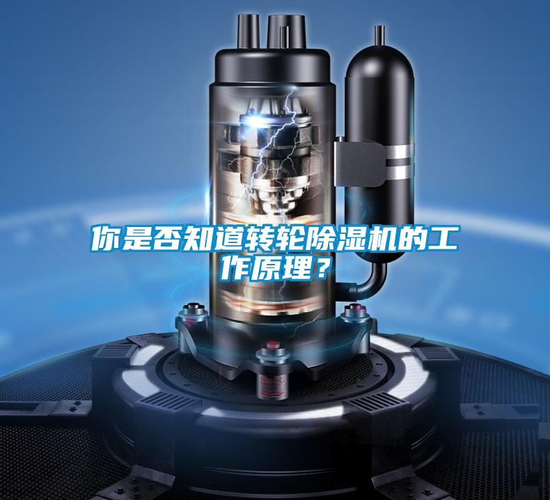 你是否知道轉輪除濕機的工作原理？
