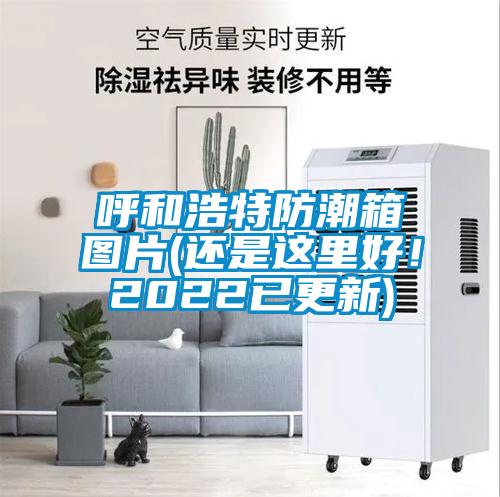 呼和浩特防潮箱圖片(還是這里好！2022已更新)