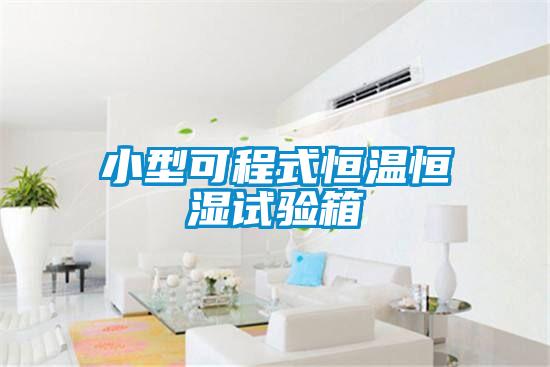 小型可程式恒溫恒濕試驗(yàn)箱