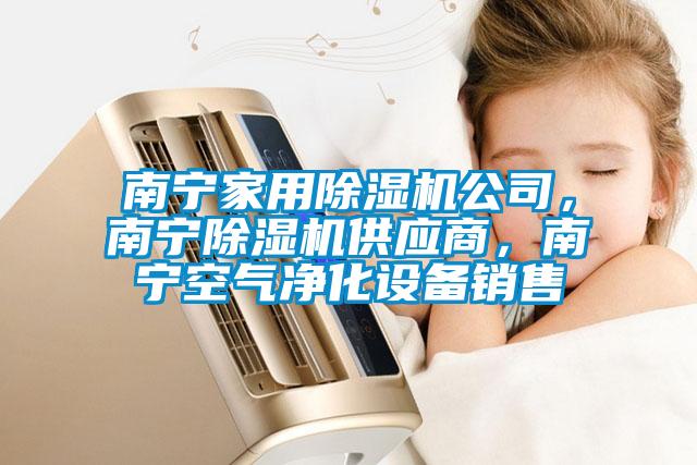 南寧家用除濕機公司，南寧除濕機供應商，南寧空氣凈化設備銷售
