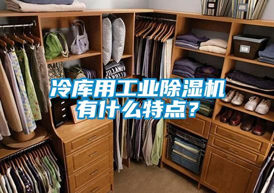 冷庫(kù)用工業(yè)除濕機(jī)有什么特點(diǎn)？
