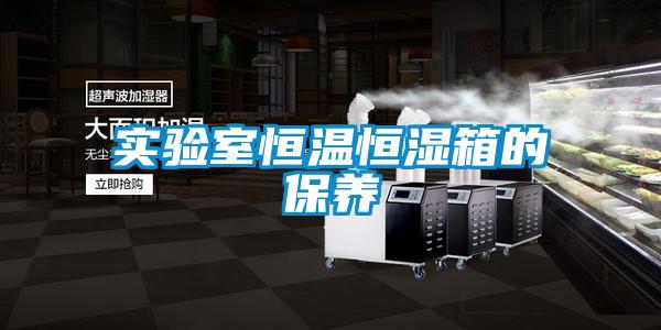 實驗室恒溫恒濕箱的保養(yǎng)