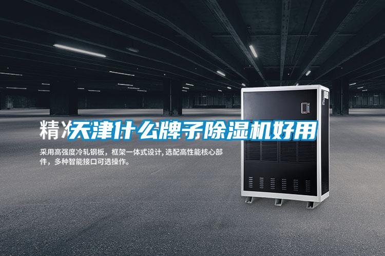 天津什么牌子除濕機好用