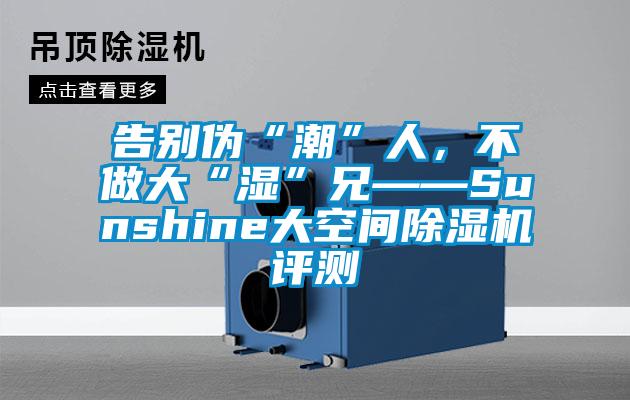 告別偽“潮”人，不做大“濕”兄——Sunshine大空間除濕機評測