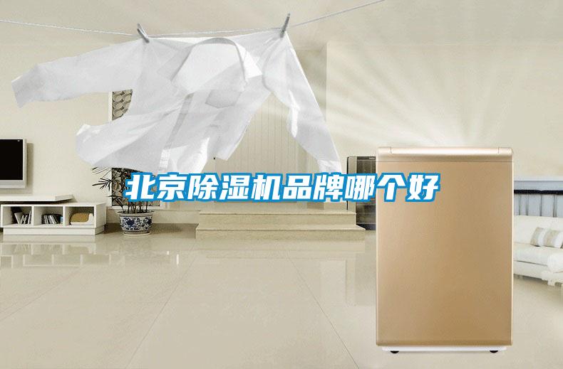北京除濕機品牌哪個好