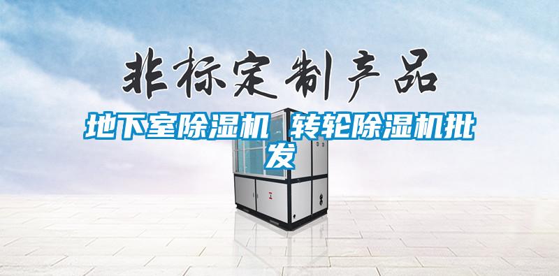 地下室除濕機 轉(zhuǎn)輪除濕機批發(fā)