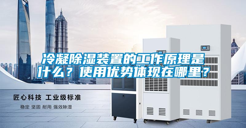 冷凝除濕裝置的工作原理是什么？使用優勢體現在哪里？