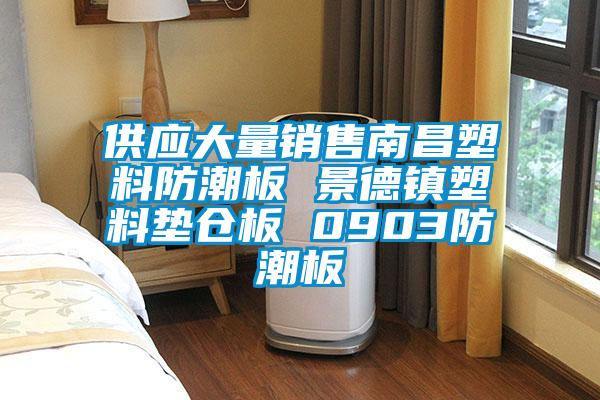 供應大量銷售南昌塑料防潮板 景德鎮塑料墊倉板 0903防潮板