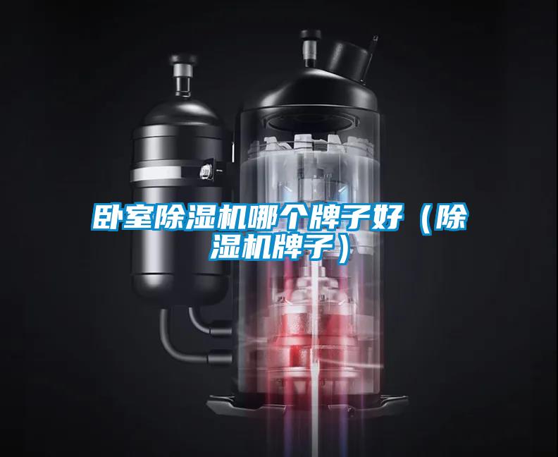 臥室除濕機(jī)哪個(gè)牌子好（除濕機(jī)牌子）
