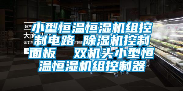 小型恒溫恒濕機組控制電路 除濕機控制面板  雙機頭小型恒溫恒濕機組控制器