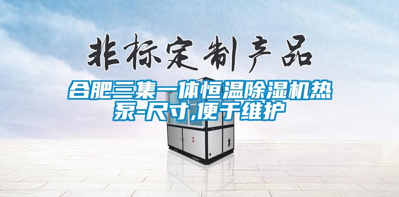 合肥三集一體恒溫除濕機熱泵-尺寸,便于維護