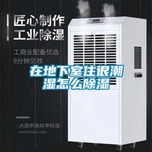在地下室住很潮濕怎么除濕