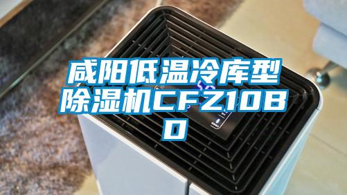 咸陽低溫冷庫型除濕機CFZ10BD