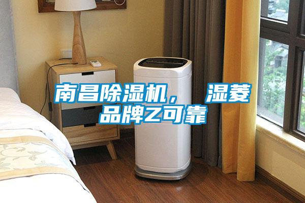 南昌除濕機(jī)， 濕菱品牌Z可靠
