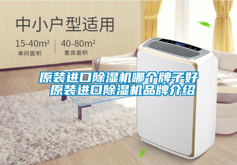 原裝進口除濕機哪個牌子好 原裝進口除濕機品牌介紹