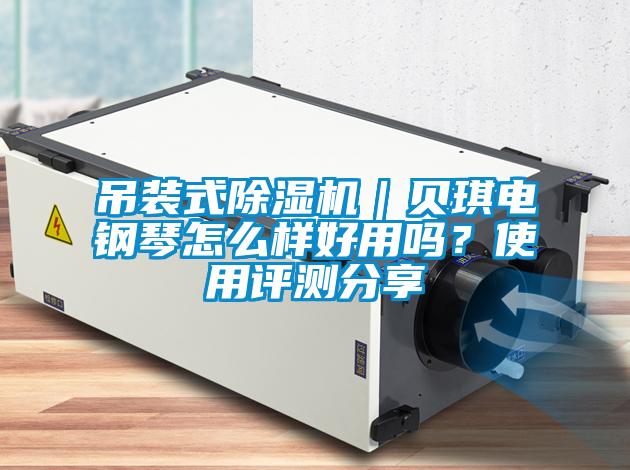 吊裝式除濕機(jī)｜貝琪電鋼琴怎么樣好用嗎？使用評(píng)測(cè)分享