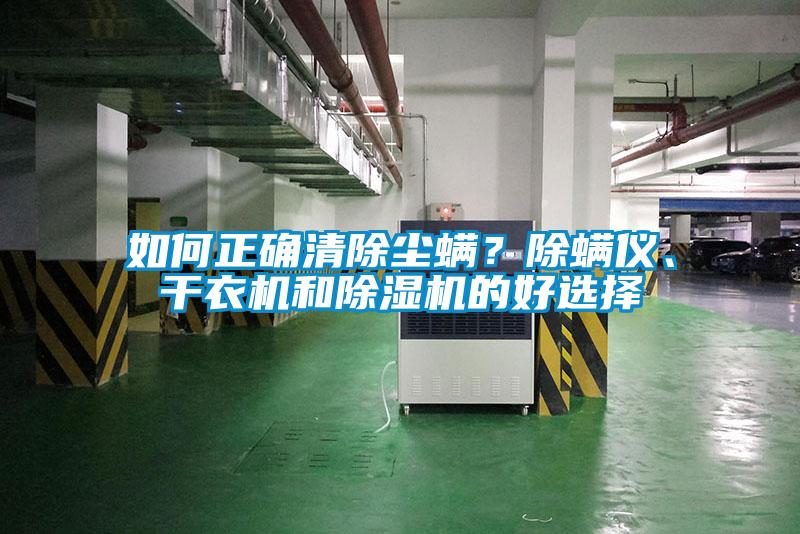 如何正確清除塵螨？除螨儀、干衣機和除濕機的好選擇
