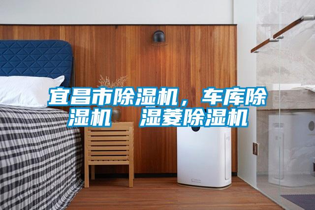 宜昌市除濕機，車庫除濕機  濕菱除濕機