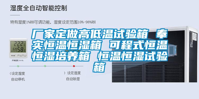 廠家定做高低溫試驗箱 奉實恒溫恒濕箱 可程式恒溫恒濕培養(yǎng)箱 恒溫恒濕試驗箱