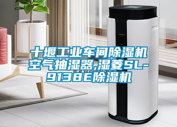 十堰工業車間除濕機空氣抽濕器,濕菱SL-9138E除濕機