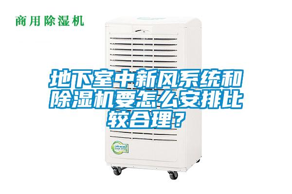 地下室中新風系統和除濕機要怎么安排比較合理？