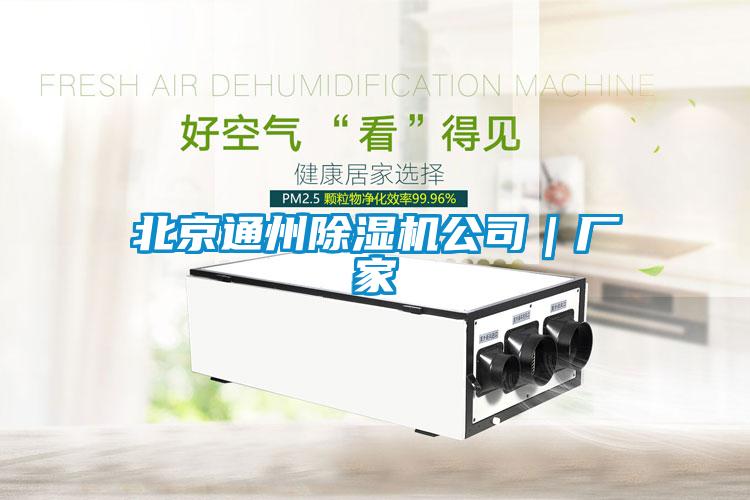 北京通州除濕機公司｜廠家