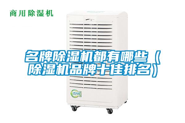 名牌除濕機都有哪些（除濕機品牌十佳排名）