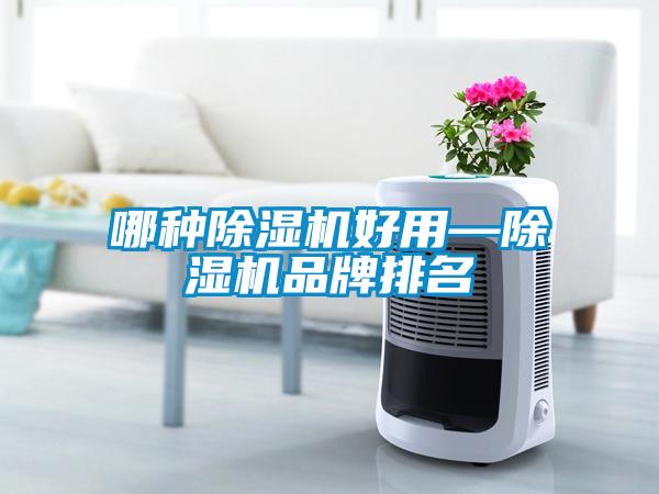 哪種除濕機好用—除濕機品牌排名