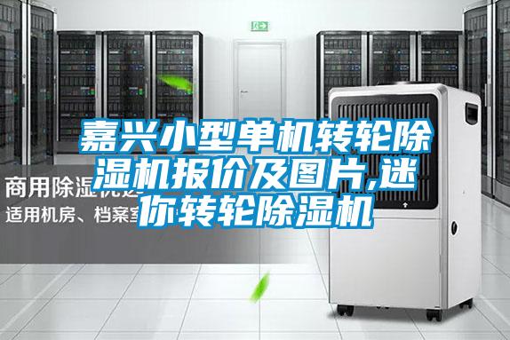 嘉興小型單機轉輪除濕機報價及圖片,迷你轉輪除濕機