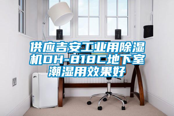 供應吉安工業用除濕機DH-818C地下室潮濕用效果好