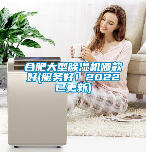 合肥大型除濕機哪款好(服務好！2022已更新)