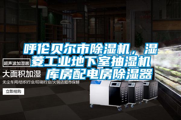 呼倫貝爾市除濕機，濕菱工業(yè)地下室抽濕機  庫房配電房除濕器