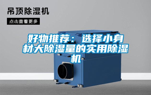 好物推薦：選擇小身材大除濕量的實用除濕機