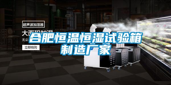 合肥恒溫恒濕試驗箱制造廠家