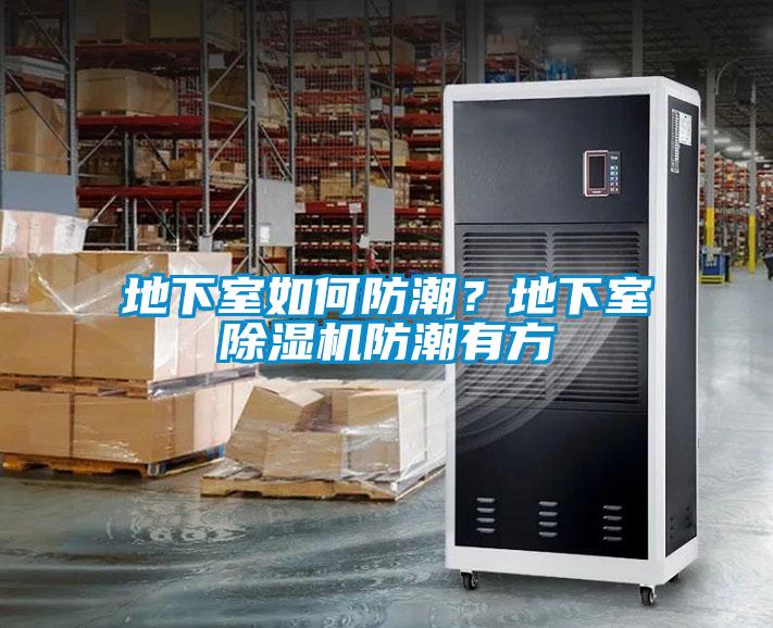 地下室如何防潮？地下室除濕機(jī)防潮有方