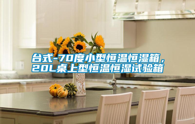 臺式-70度小型恒溫恒濕箱，20L桌上型恒溫恒濕試驗(yàn)箱