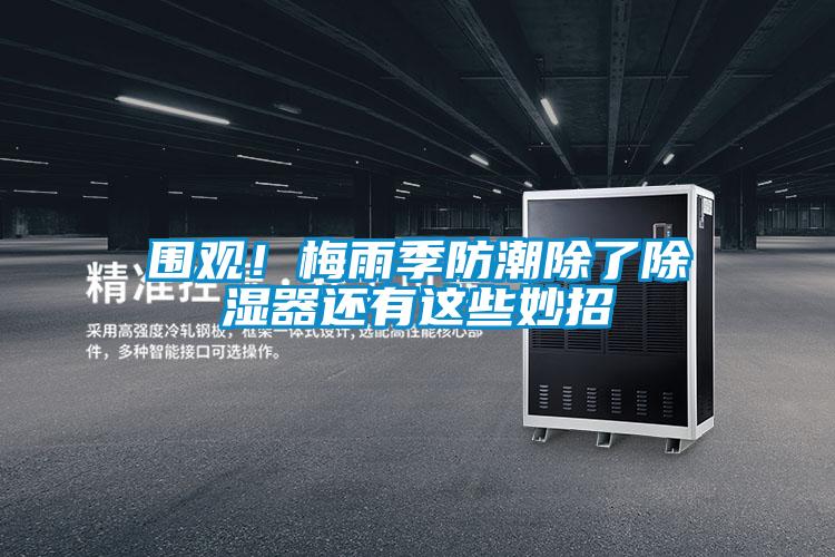 圍觀！梅雨季防潮除了除濕器還有這些妙招