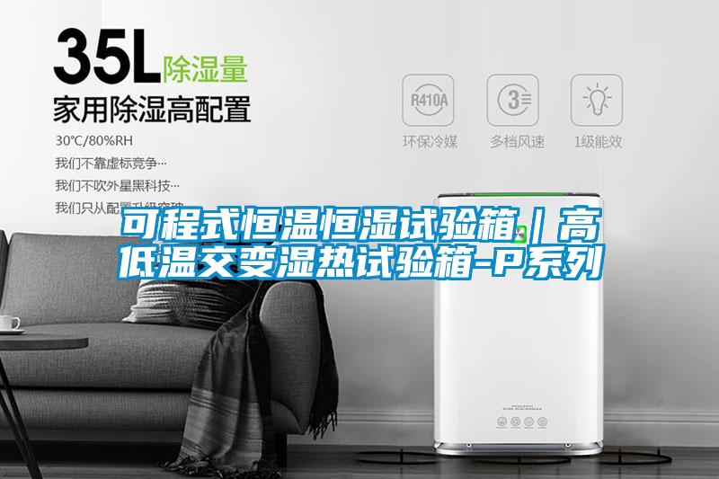 可程式恒溫恒濕試驗箱｜高低溫交變濕熱試驗箱-P系列