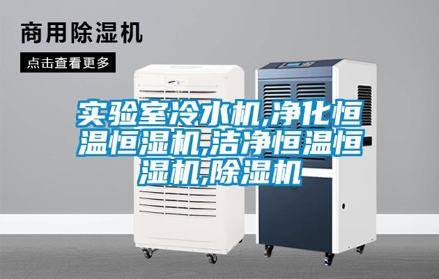 實驗室冷水機,凈化恒溫恒濕機,潔凈恒溫恒濕機,除濕機