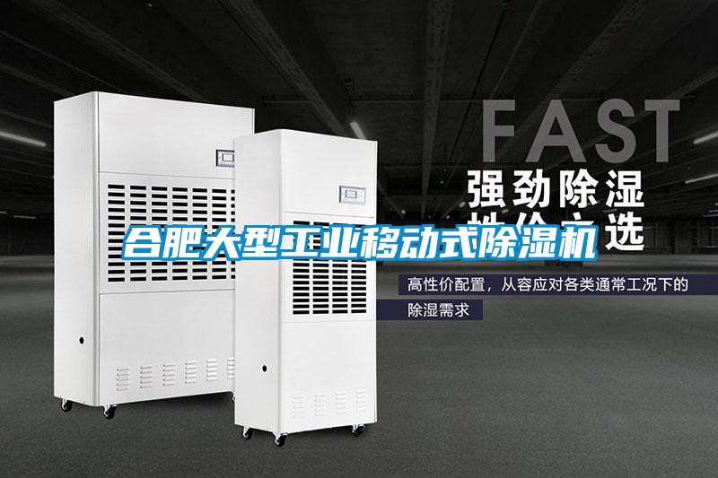 合肥大型工業(yè)移動(dòng)式除濕機(jī)