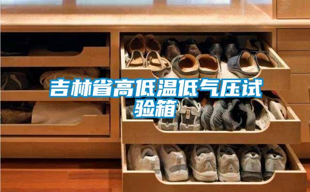 吉林省高低溫低氣壓試驗箱