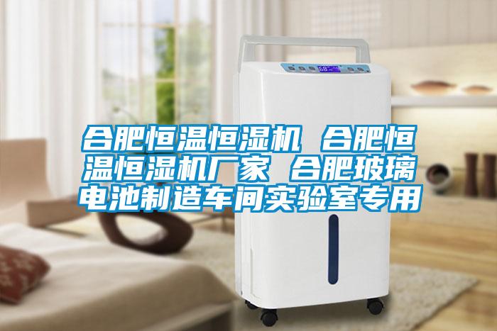合肥恒溫恒濕機 合肥恒溫恒濕機廠家 合肥玻璃電池制造車間實驗室專用