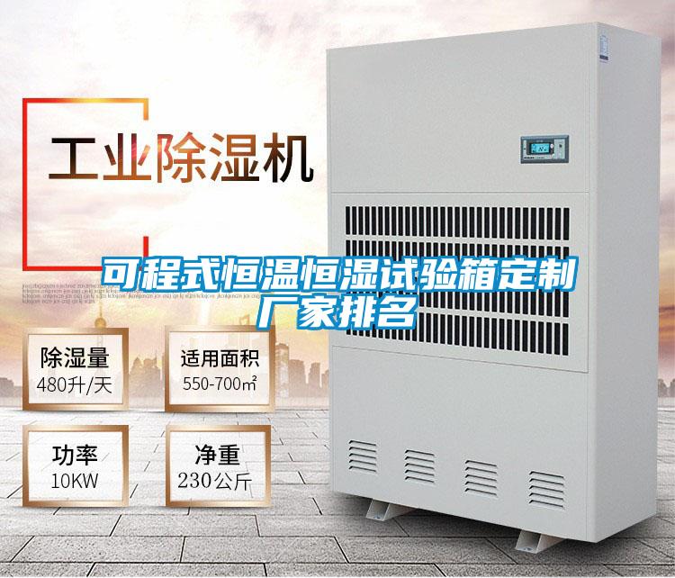 可程式恒溫恒濕試驗箱定制廠家排名